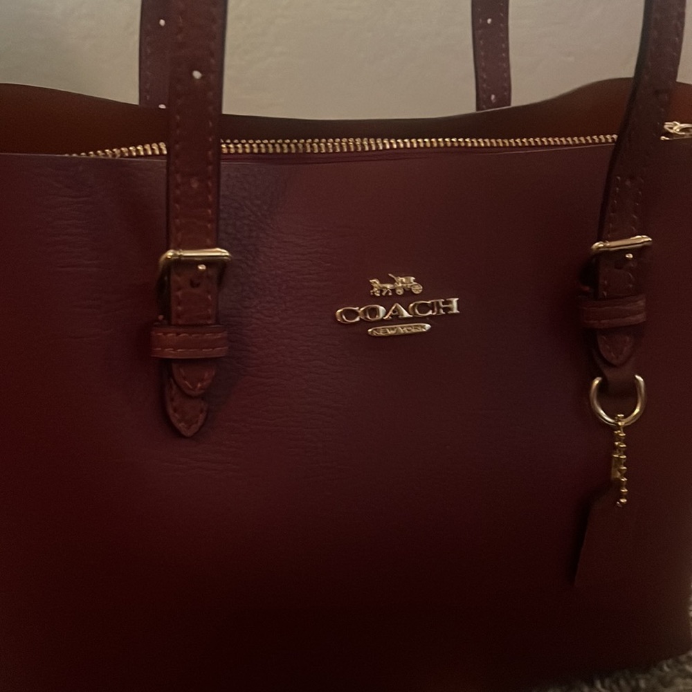 Coach Mollie Crossbody Tote